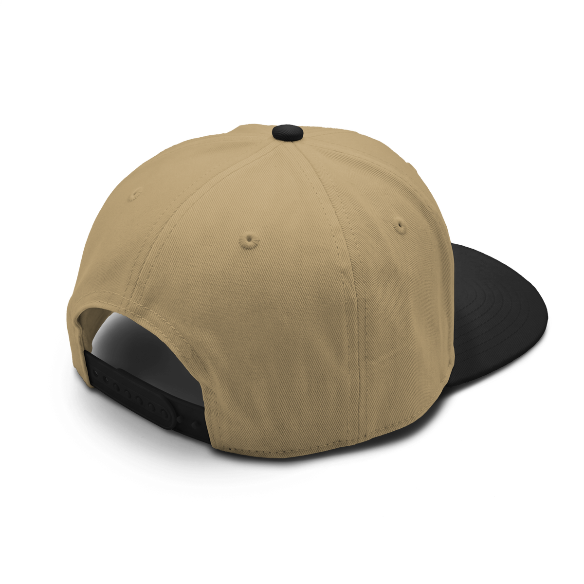 Americish Logo Class two-tone cap | Americish