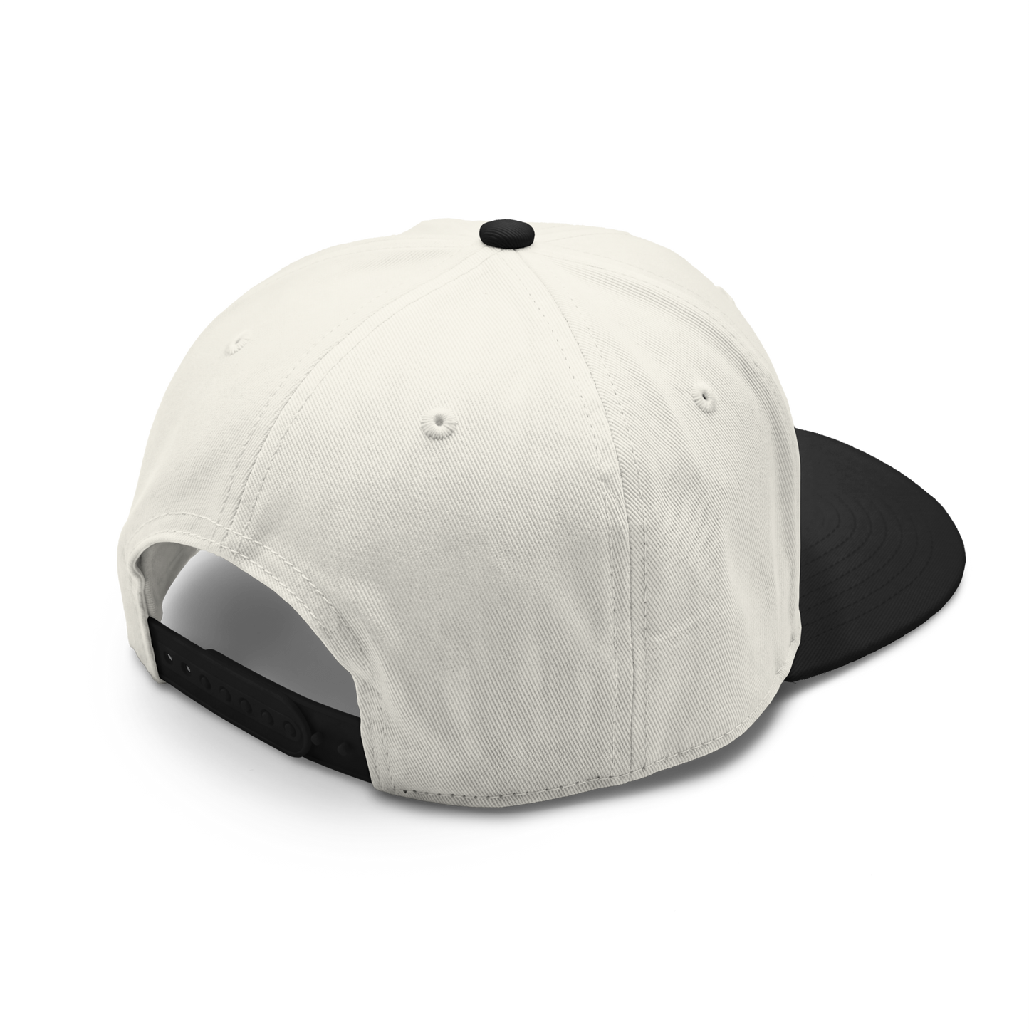 Americish Logo Class two-tone cap | Americish