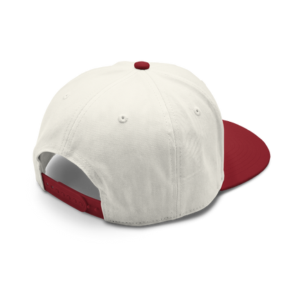 Americish Logo Class two-tone cap | Americish