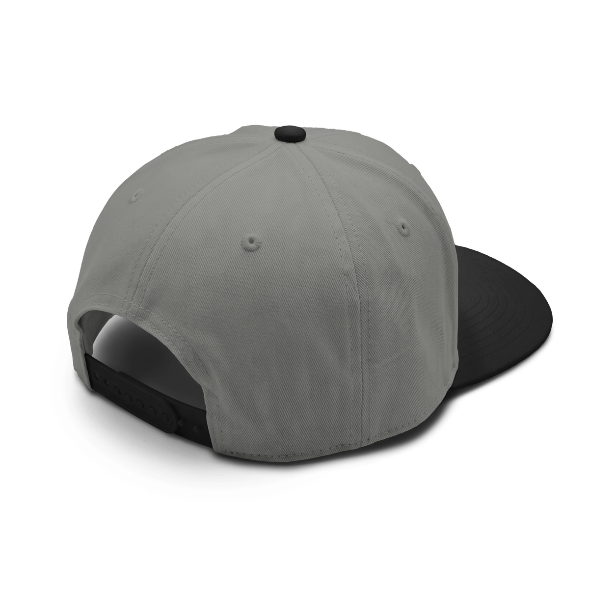 Americish Logo Class two-tone cap | Americish