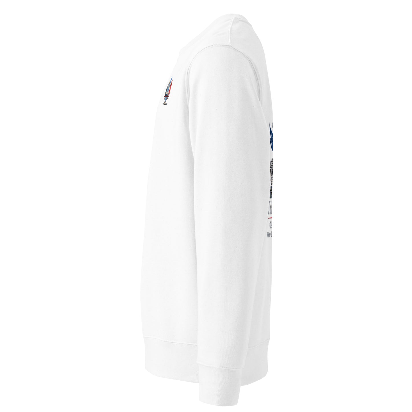 9/11-United We Stand Unisex organic sweatshirt | Americish